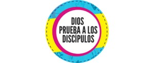 Libro 8-B