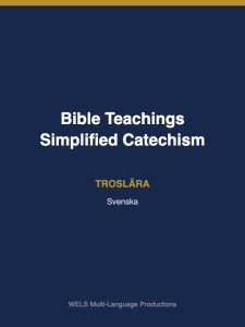 Bible Teachings-Simplified Catechism