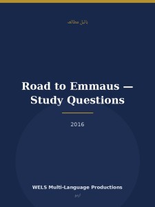 Road to Emmaus — Study Questions