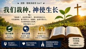 我们栽种，神使生长